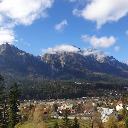 Vila Alunis Buşteni Esterno foto