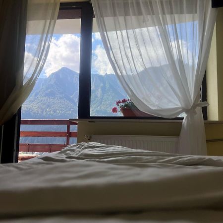 Vila Alunis Buşteni Esterno foto