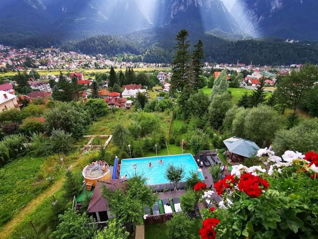 Vila Alunis Buşteni Esterno foto