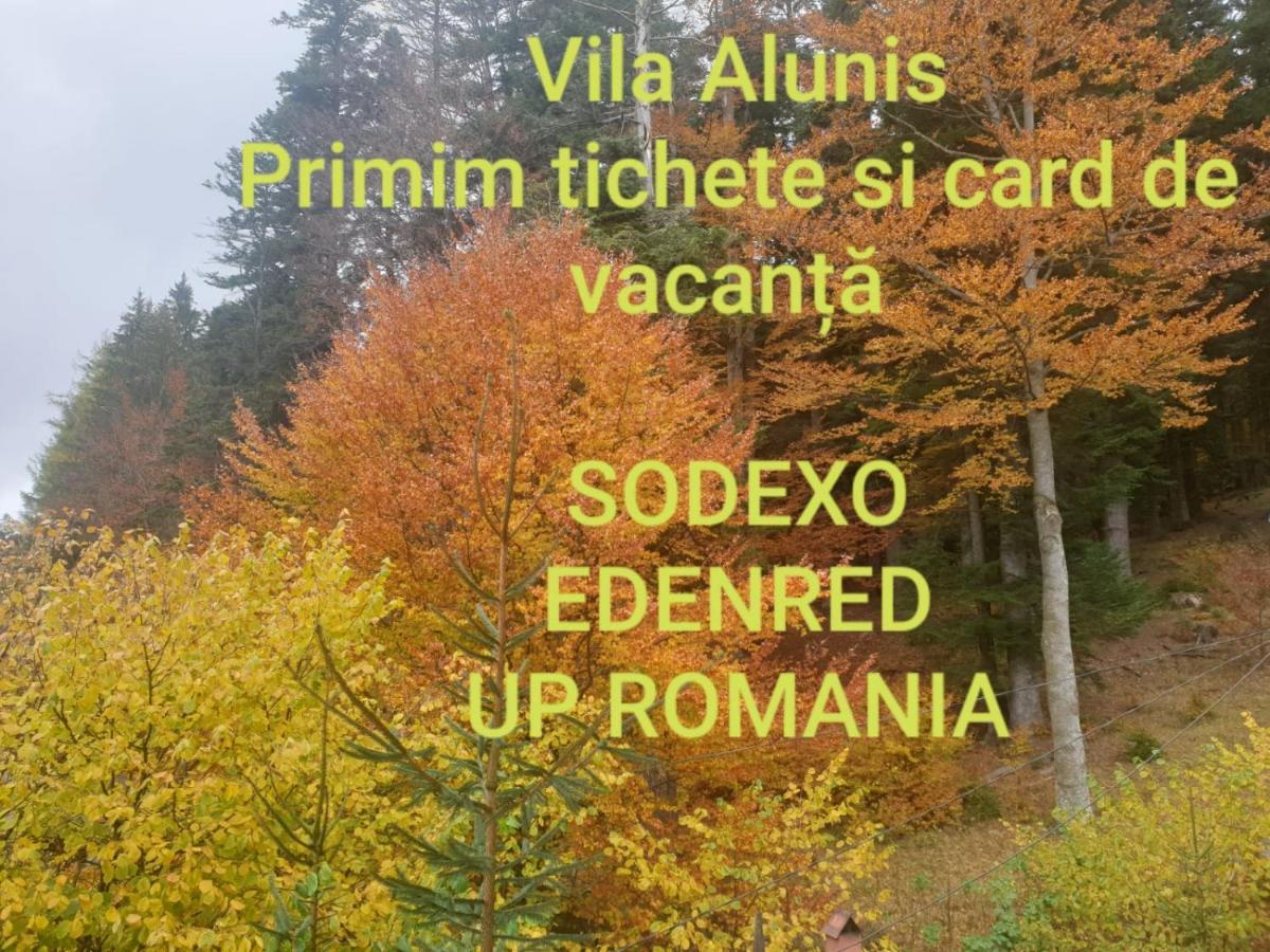 Vila Alunis Buşteni Esterno foto