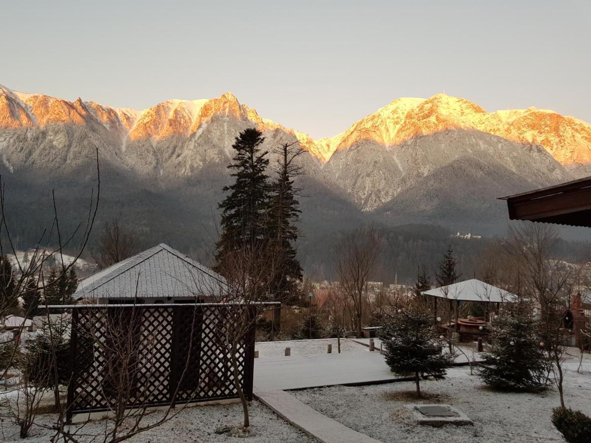 Vila Alunis Buşteni Esterno foto