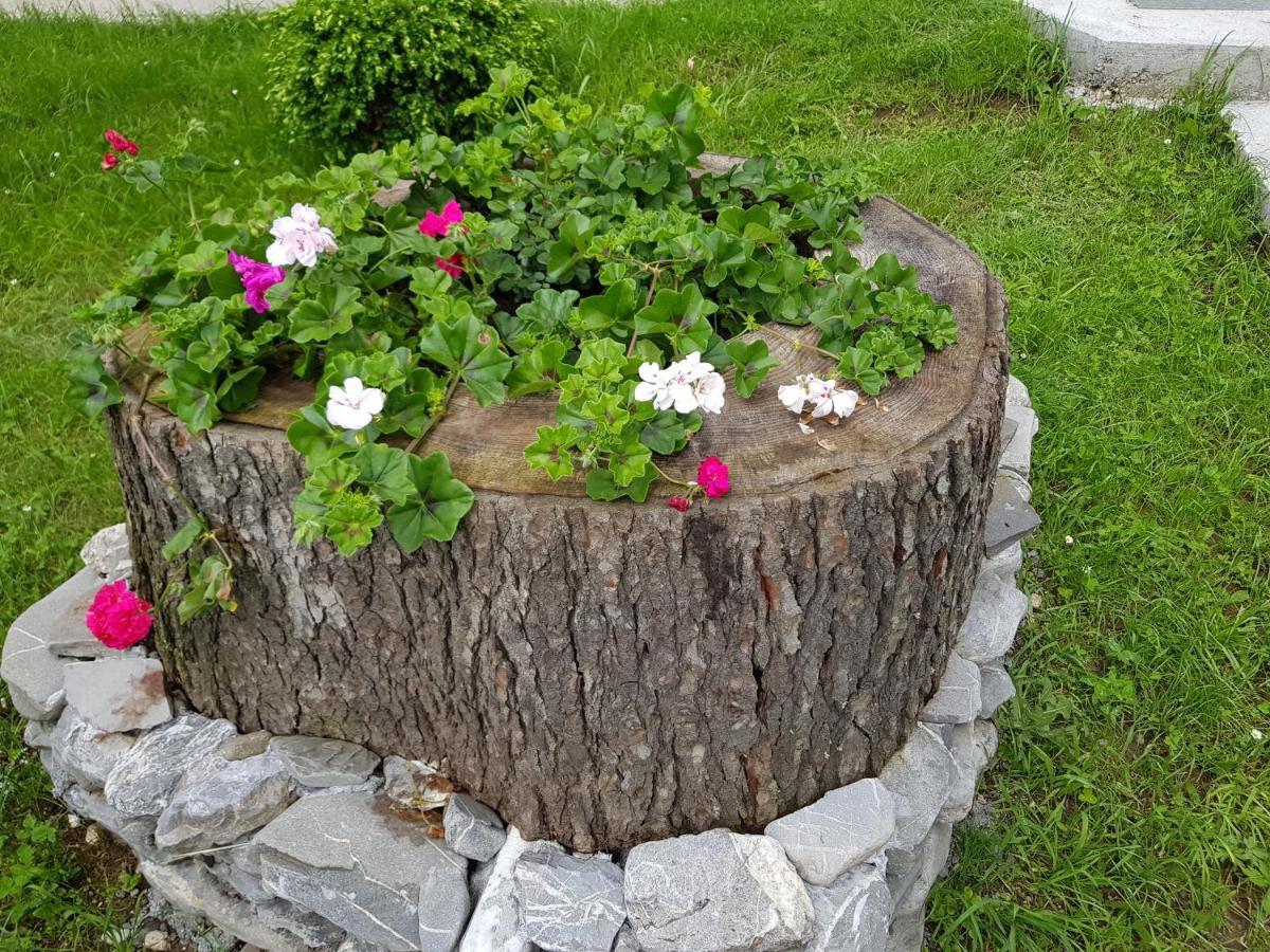 Vila Alunis Buşteni Esterno foto