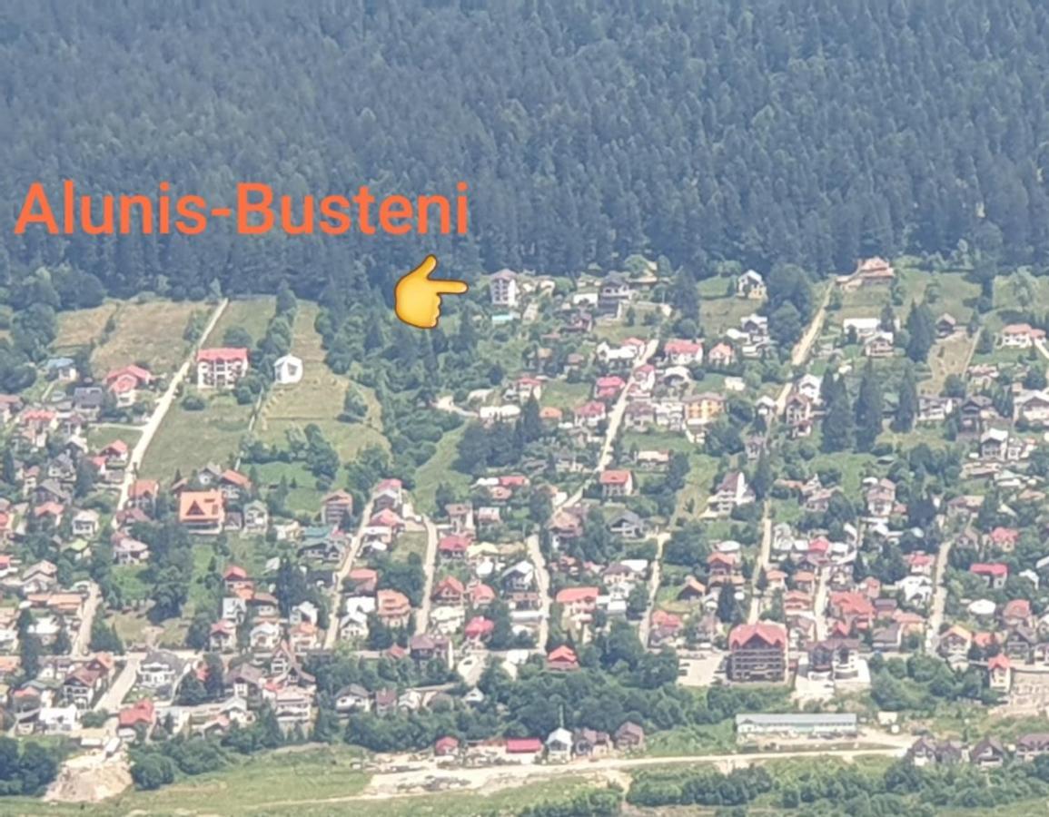 Vila Alunis Buşteni Esterno foto