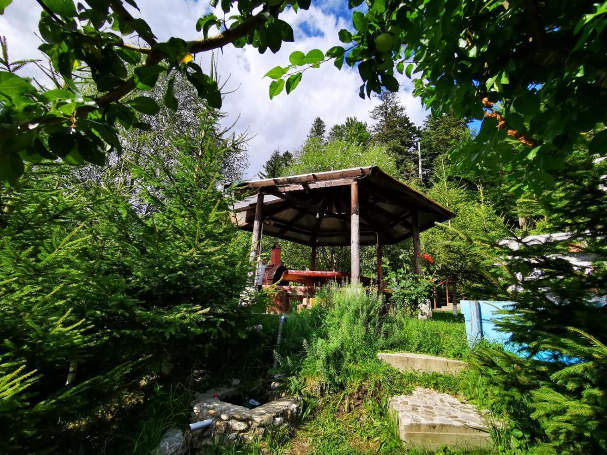 Vila Alunis Buşteni Esterno foto