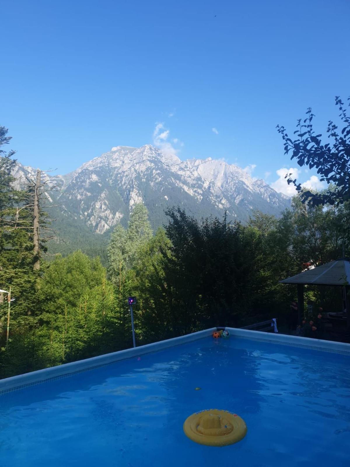Vila Alunis Buşteni Esterno foto