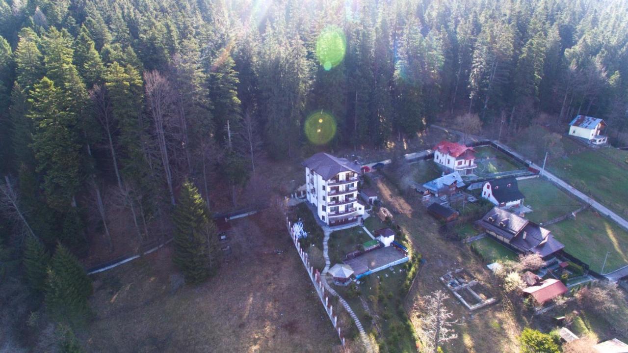 Vila Alunis Buşteni Esterno foto