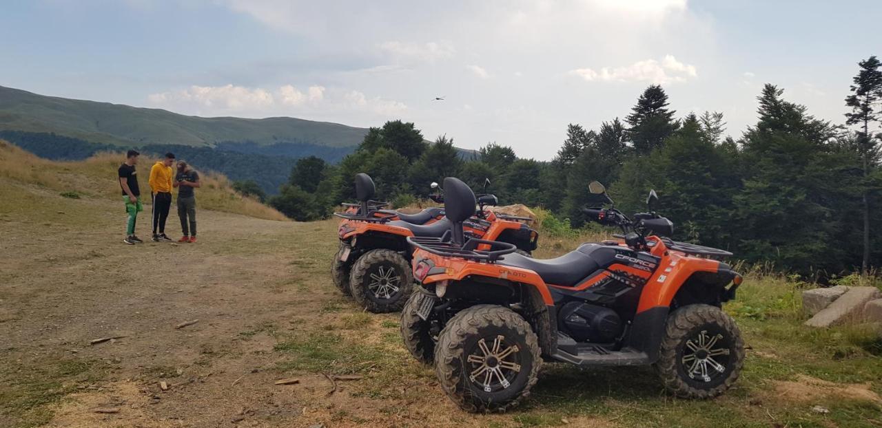 Vila Alunis Buşteni Esterno foto