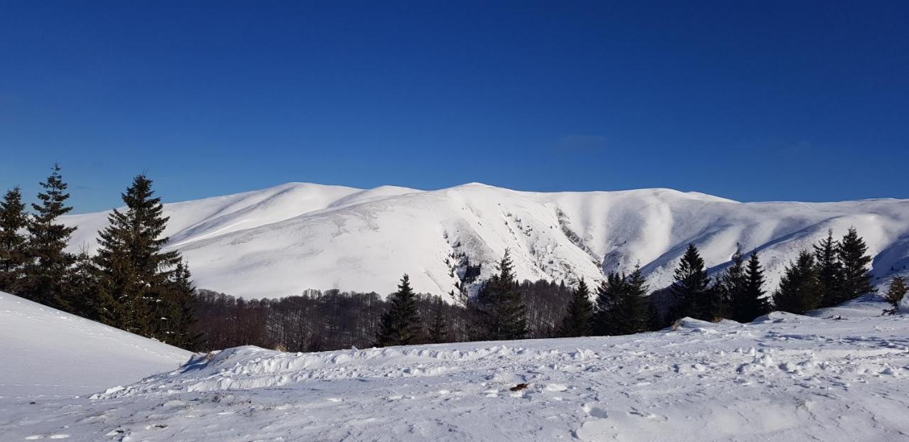 Vila Alunis Buşteni Esterno foto