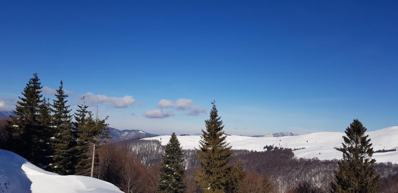 Vila Alunis Buşteni Esterno foto
