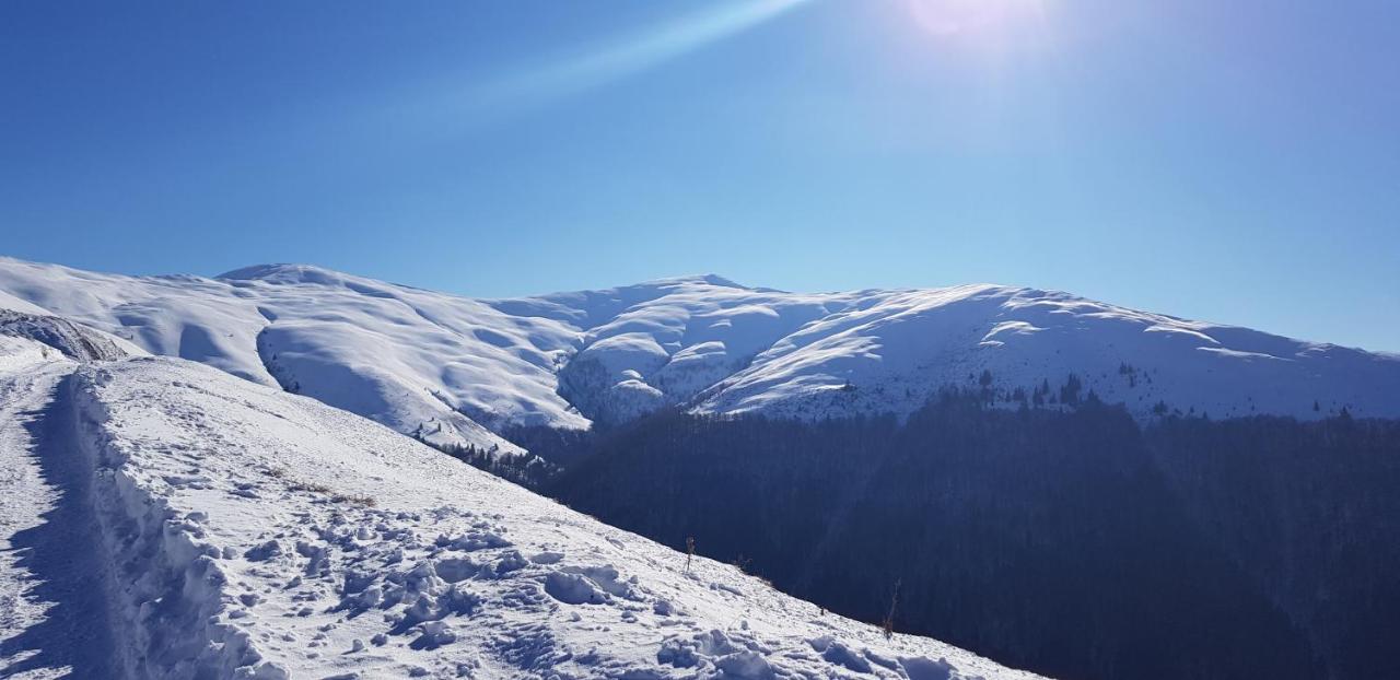 Vila Alunis Buşteni Esterno foto