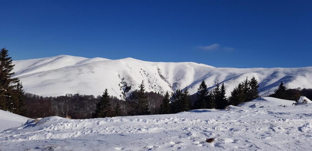 Vila Alunis Buşteni Esterno foto