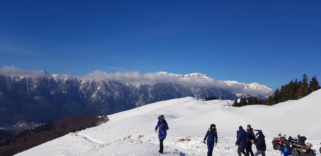 Vila Alunis Buşteni Esterno foto