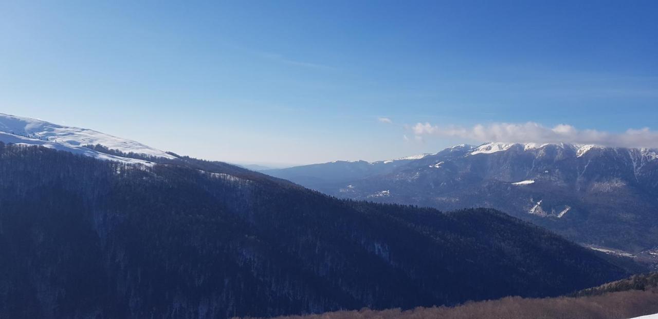 Vila Alunis Buşteni Esterno foto