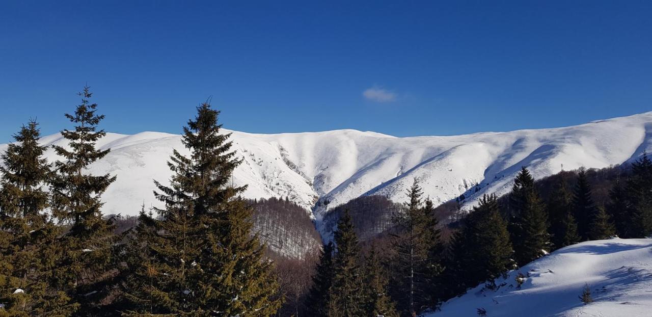 Vila Alunis Buşteni Esterno foto