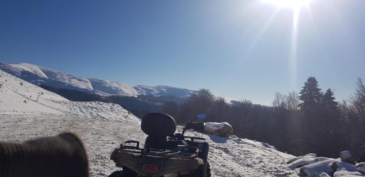 Vila Alunis Buşteni Esterno foto