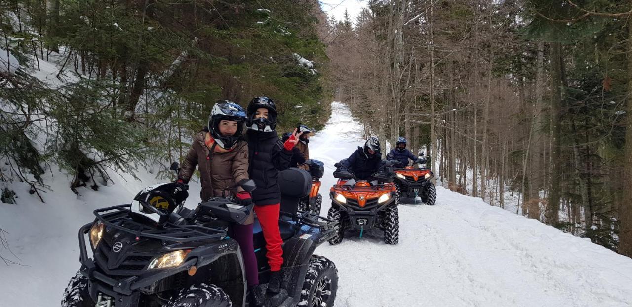 Vila Alunis Buşteni Esterno foto