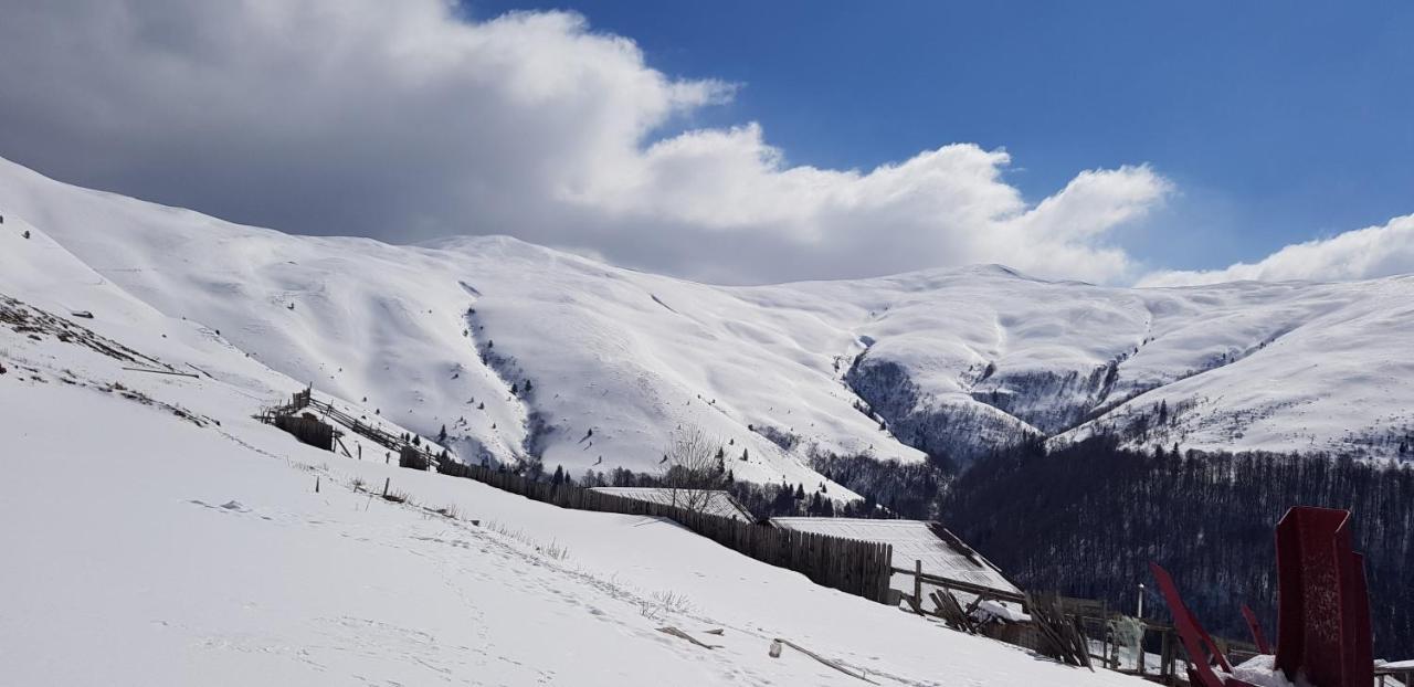 Vila Alunis Buşteni Esterno foto