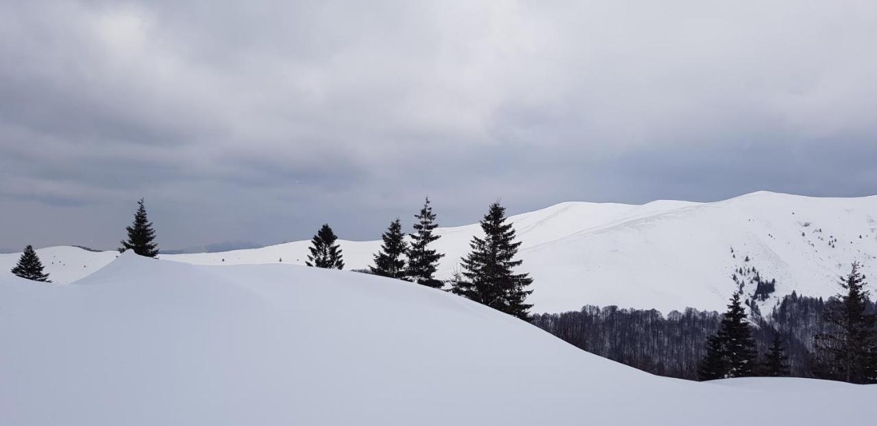 Vila Alunis Buşteni Esterno foto