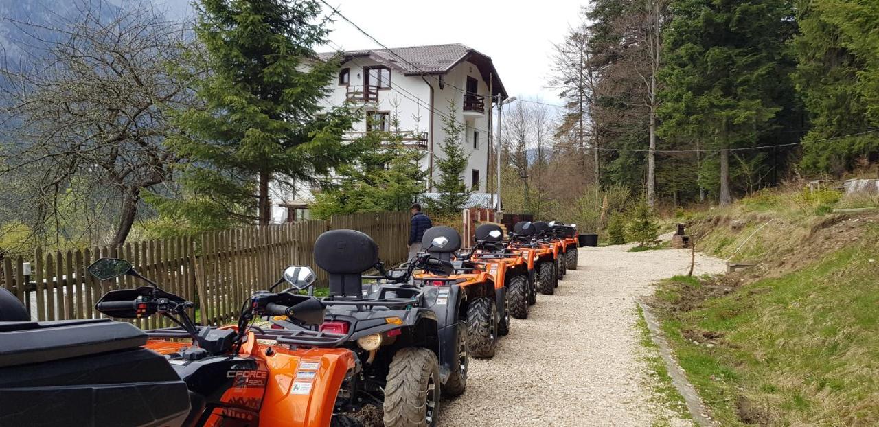 Vila Alunis Buşteni Esterno foto