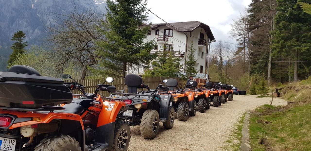 Vila Alunis Buşteni Esterno foto