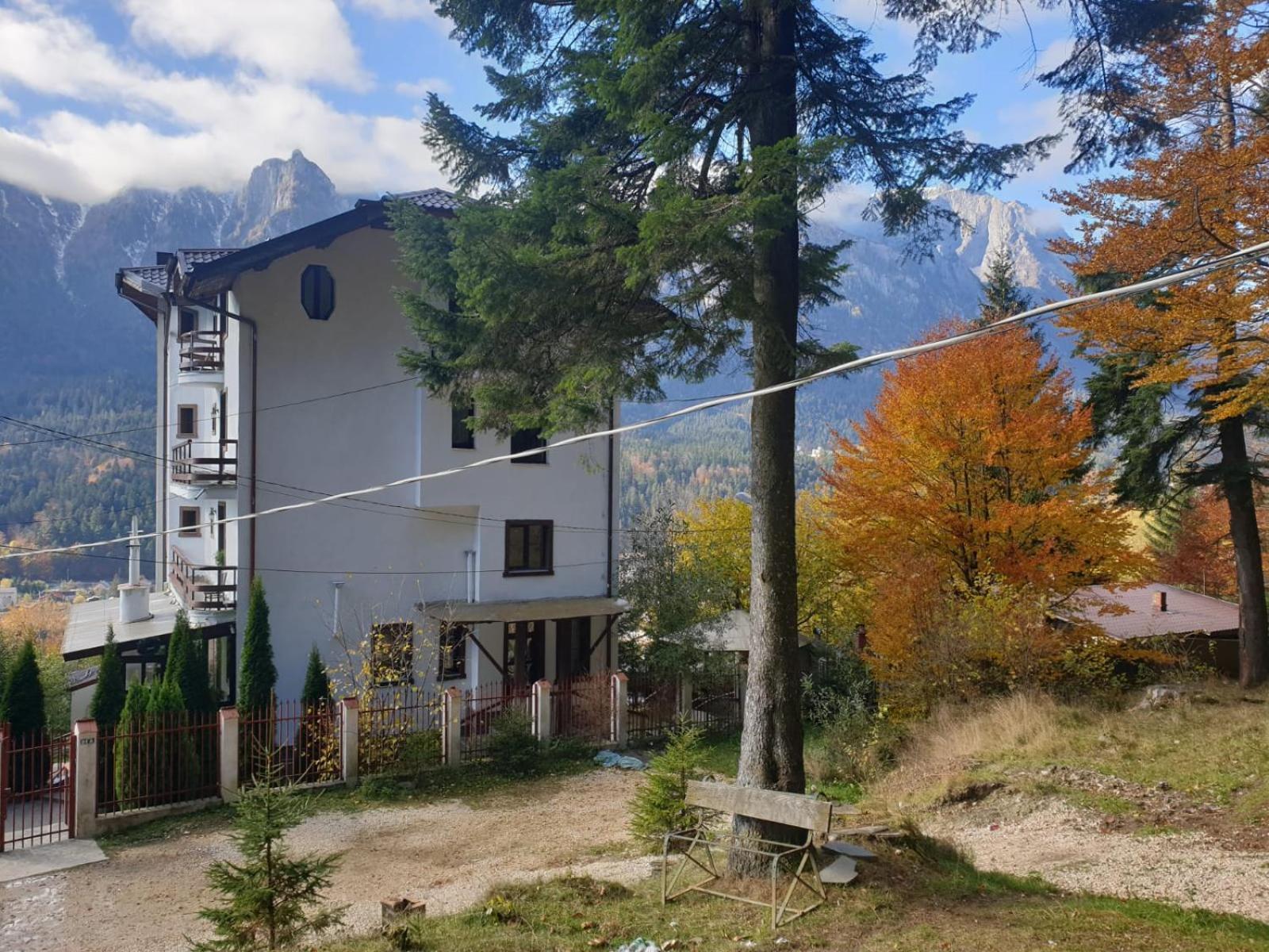 Vila Alunis Buşteni Camera foto