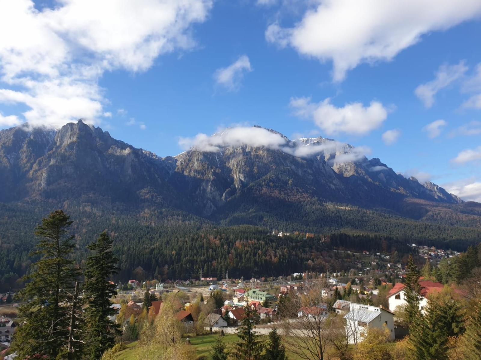 Vila Alunis Buşteni Esterno foto